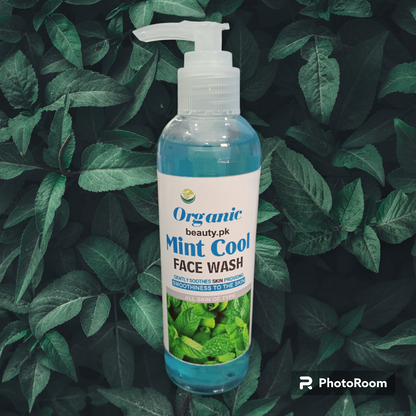 Mint Cool Face Wash! ❄️